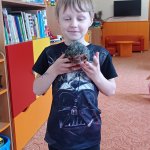 phoca_thumb_m_zajci a zvtka 1 Fotogalerie